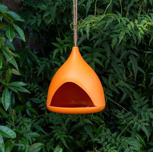 Bamboo Fibre Bird Feeder in Orange - Rex London