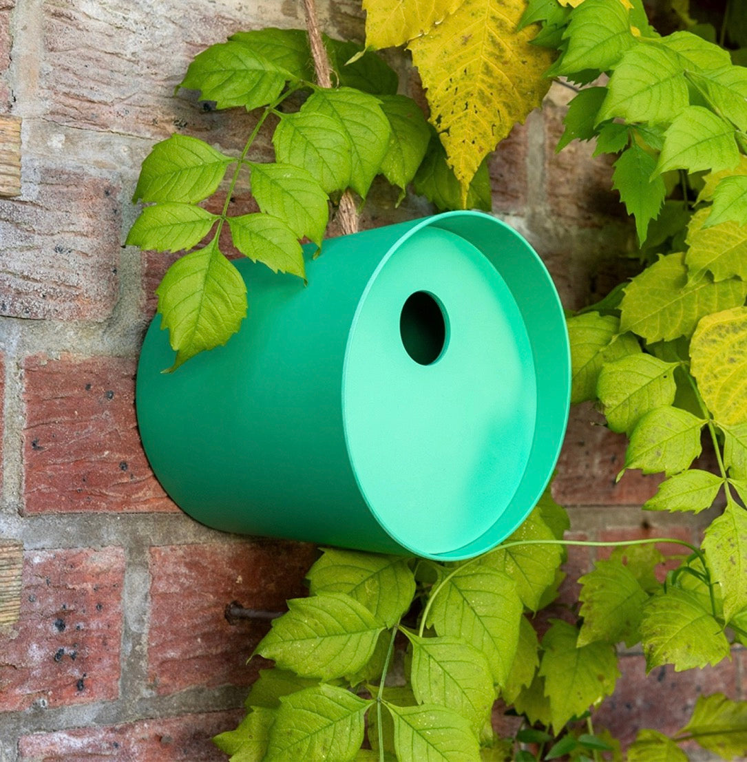 Round Bamboo Fibre Bird House in Green - Rex London