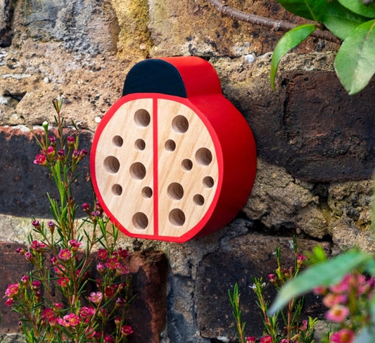 Wooden Bug Hotel - Rex London