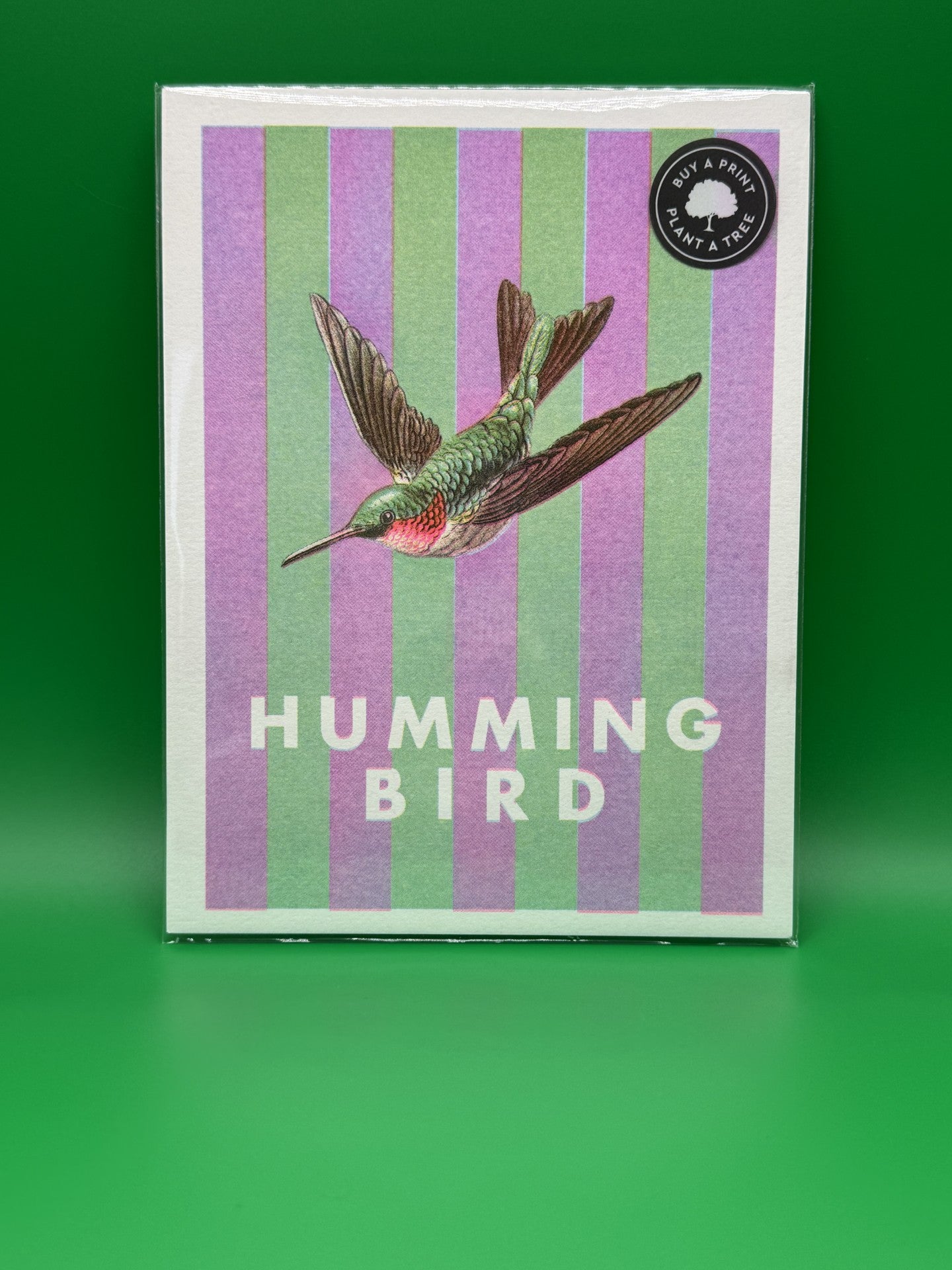 Striped Hummingbird Riso Print - Ohh Dear